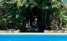 B&B Don Alessandro